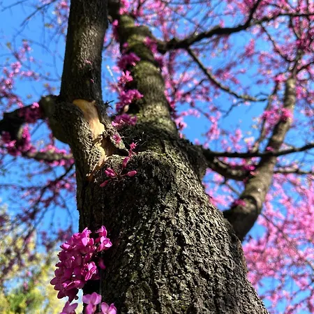 La Papera Sciocca Apartamento La Spezia